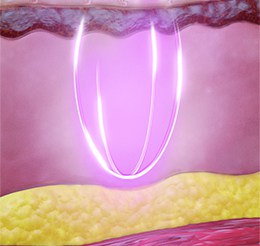 Divine_Pro_D_good_2_260x246